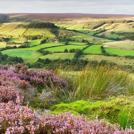 Hindburn * Pickering