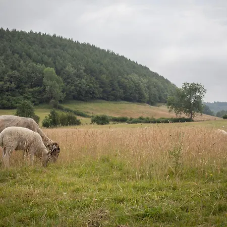 Hindburn 皮克林